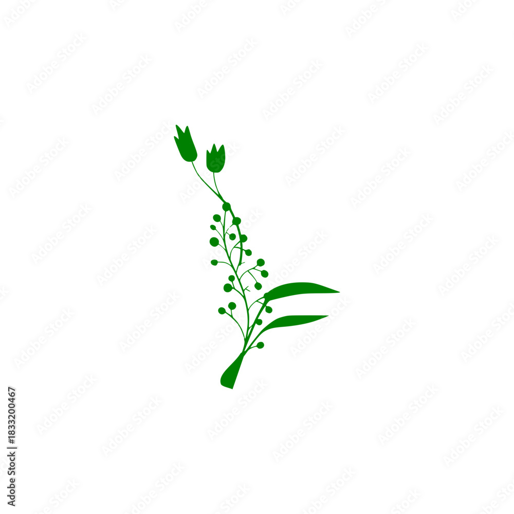 Naklejka premium green plant isolated on white