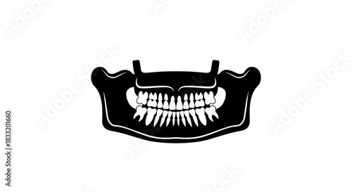 Panoramic Dental XRay A Detailed View of the Jaw.