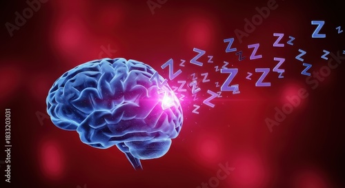 Brain sleep dream neuroscience rest - visual depicting a sleeping brain with zzz symbols conveying calm restorative sleep and cognitive recovery