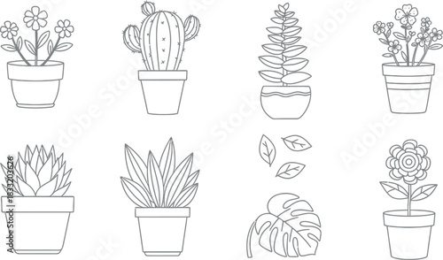 Outline drawing set of potted plants, succulents, flowers, leaves