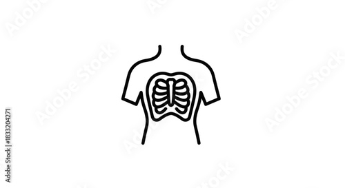 Human Rib Cage Anatomy Illustration Medical and Healthcare Concept.