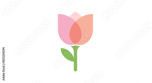 Elegant Pink Tulip Illustration on White Background.