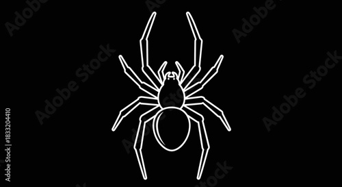 Spider Illustration on Black Background Arachnid Outline.