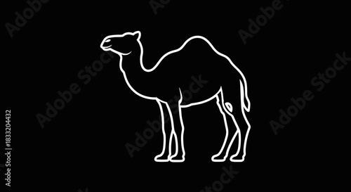 Elegant White Camel Silhouette on Black Background.