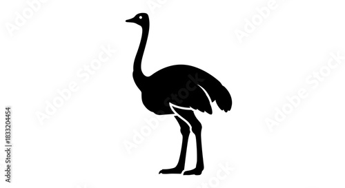 Silhouette of an Ostrich A Striking Wildlife Illustration.