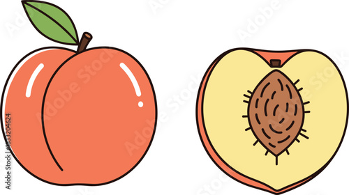 Sweet Peach Fruit Vector Illustration, Featuring a Whole Oval Fruit and a Halved Cross-Section Revealing the Seed, Ideal for Summer Desserts, Juice Packaging, and Healthy Snack Designs