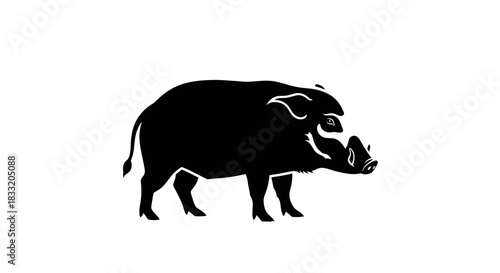 Silhouette of a Wild Boar Strong and Untamed Animal.