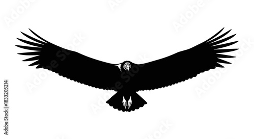 Majestic Andean Condor Soaring with Wings Spread Wide.