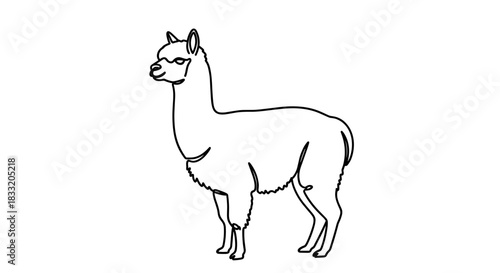 Elegant Alpaca Illustration A Detailed Line Art Depiction.
