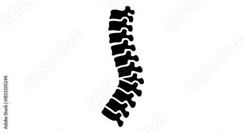 Human Spine Silhouette Anatomy and Medical Illustration.