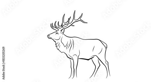 Elegant Stag Illustration A Majestic Wildlife Drawing.