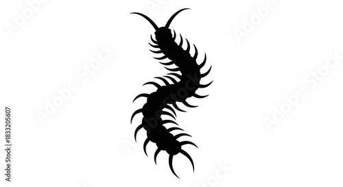 Centipede Silhouette Detailed Vector Illustration of a Creepy Crawly.