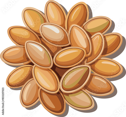 vector illustration of pumpkin seeds isolated on white background