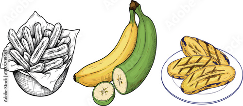 Banana and plantain food vector set with fried slices, raw fruit bunch and sketch style illustration