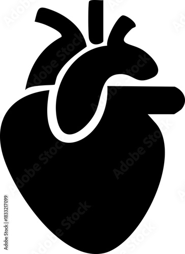 Anatomical heart icon , Human anatomical heart, heartbeat, cardiovascular, anatomy, medical, health, cardiology illustration, biology, organ, human heart collection, Vector illustration !