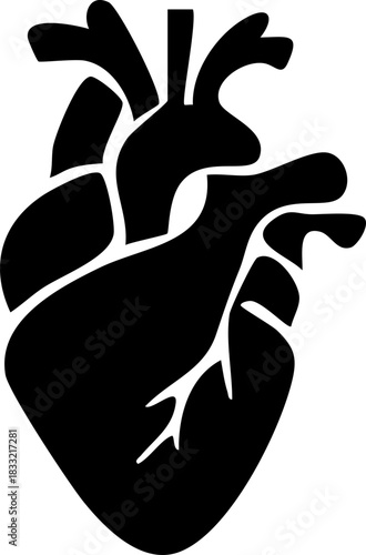 Anatomical heart icon , Human anatomical heart, heartbeat, cardiovascular, anatomy, medical, health, cardiology illustration, biology, organ, human heart collection, Vector illustration !