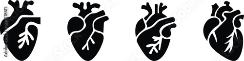 Set of anatomical heart icon Set, Human anatomical heart, heartbeat, cardiovascular, anatomy, medical, health, cardiology illustration, biology, organ, human heart collection, Vector illustration !