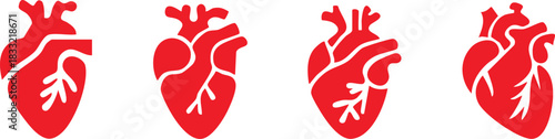 Set of anatomical heart icon Set, Human anatomical heart, heartbeat, cardiovascular, anatomy, medical, health, cardiology illustration, biology, organ, human heart collection, Vector illustration !