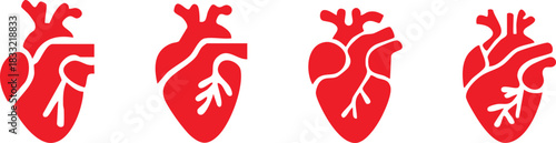 Set of anatomical heart icon Set, Human anatomical heart, heartbeat, cardiovascular, anatomy, medical, health, cardiology illustration, biology, organ, human heart collection, Vector illustration !