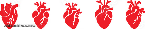Set of anatomical heart icon Set, Human anatomical heart, heartbeat, cardiovascular, anatomy, medical, health, cardiology illustration, biology, organ, human heart collection, Vector illustration !