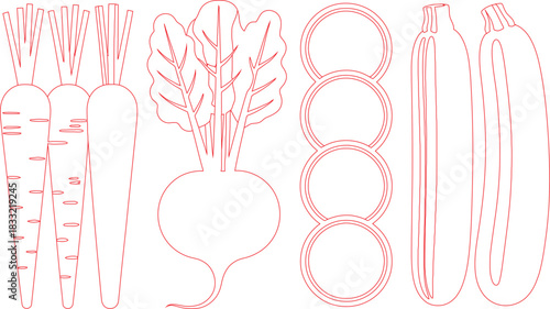 Outline Drawing of Carrots, Beets, Zucchini Slices, and Zucchinis in Red Color