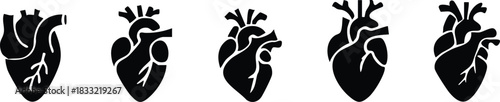 Set of anatomical heart icon Set, Human anatomical heart, heartbeat, cardiovascular, anatomy, medical, health, cardiology illustration, biology, organ, human heart collection, Vector illustration !