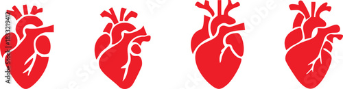 Set of anatomical heart icon Set, Human anatomical heart, heartbeat, cardiovascular, anatomy, medical, health, cardiology illustration, biology, organ, human heart collection, Vector illustration !