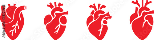 Set of anatomical heart icon Set, Human anatomical heart, heartbeat, cardiovascular, anatomy, medical, health, cardiology illustration, biology, organ, human heart collection, Vector illustration !