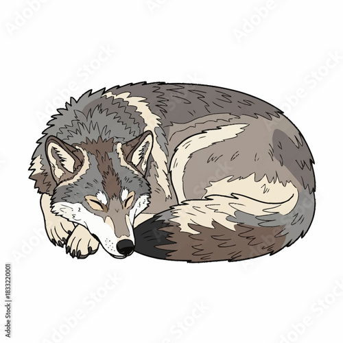 Sleeping Wolf Illustration - Peaceful Canine in Dreamland.
