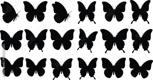 Butterfly silhouette set, insect shapes, wing contours, black vector, entomology art, species diversity, nature icons, decorative design, minimalist illustrationButterfly