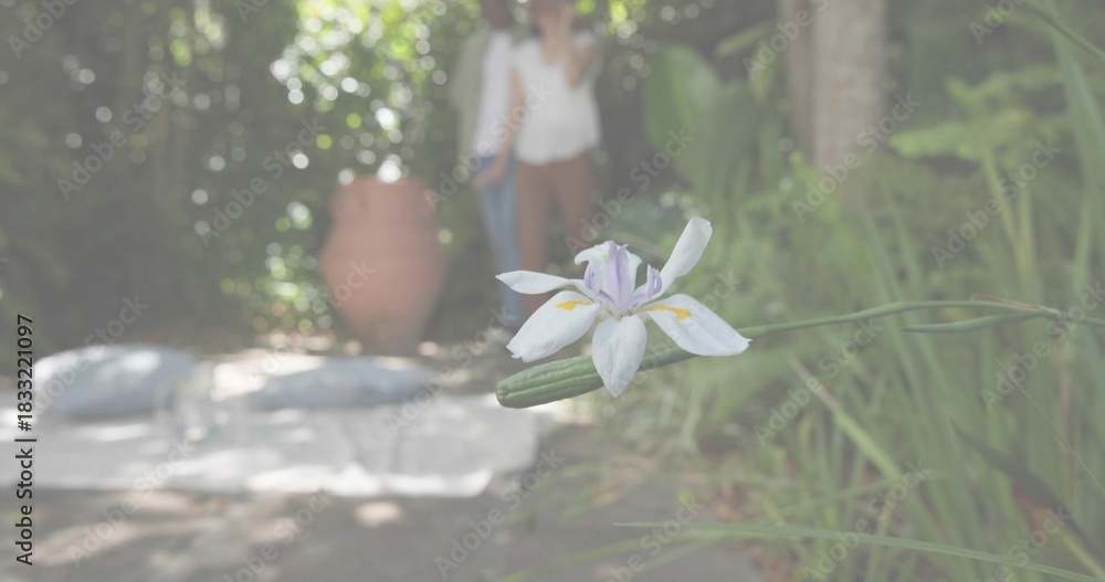 Naklejka premium Framing iris blooming in backyard with clay pot, mat and pillows, blurred casual couple, copy space