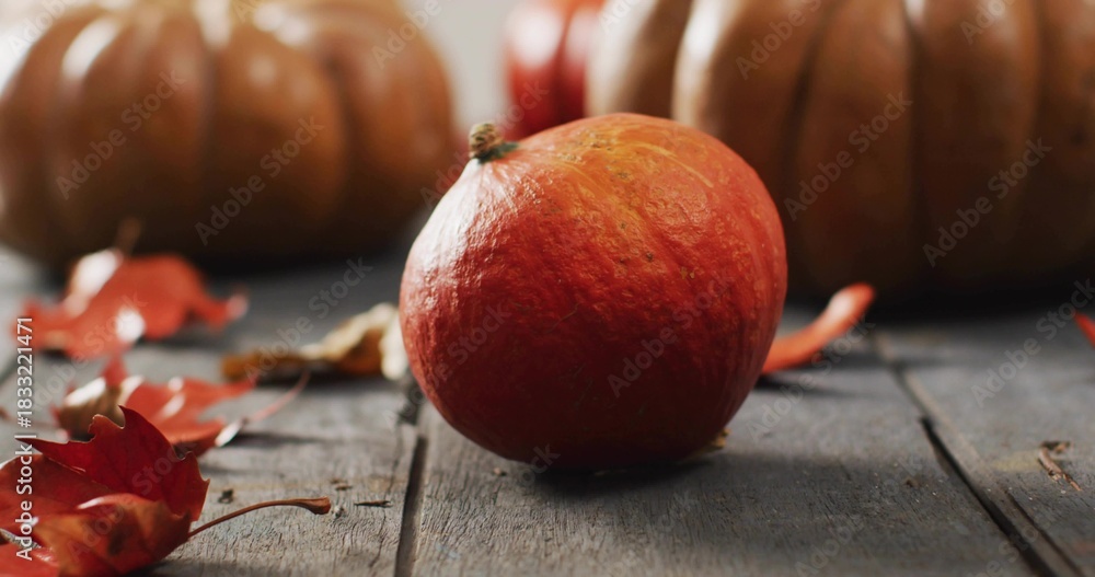 Obraz premium Showing small orange pumpkin sitting on rustic tabletop, with blurred larger pumpkins and leaves