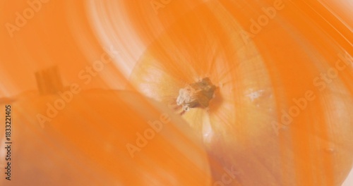 Showing primary yellow onion bulb with root end and papery skin in studio, with blurred bulb