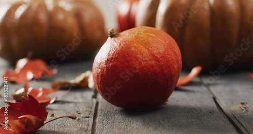 Fototapeta samoprzylepna Showing small orange pumpkin sitting on rustic tabletop, with blurred larger pumpkins and leaves