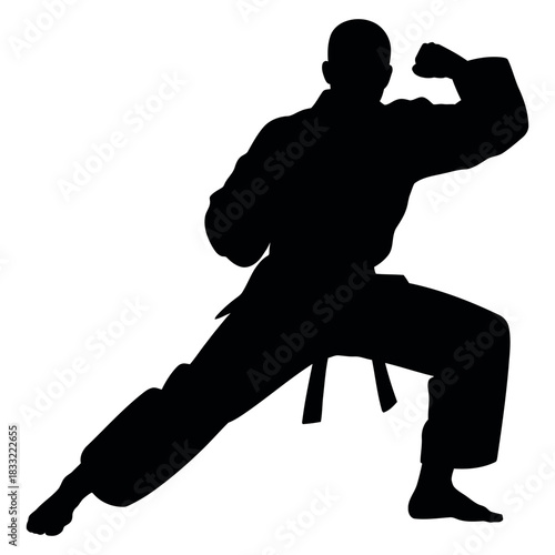 Silhouette of a martial artist in a powerful fighting stance wearing a traditional karate uniform