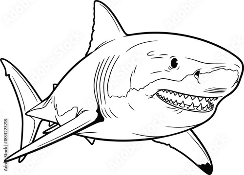 Great White Shark Illustration Fierce Ocean Predator with Sharp Teeth