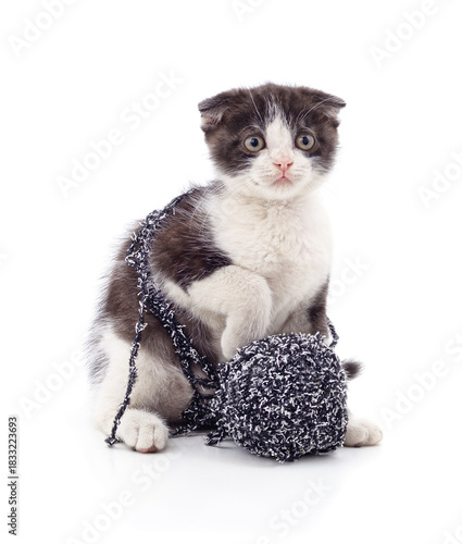 Cute kitten playing with yarn ball.