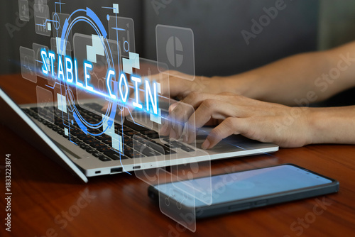 The concept of using stablecoins in the financial system
