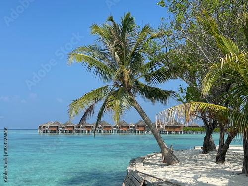 looking through Palm trees to water villas in the Maldives