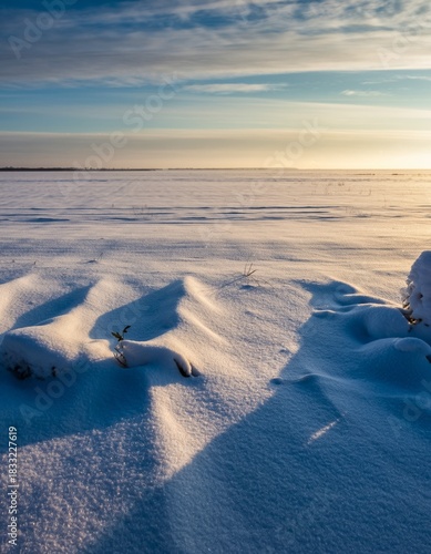 Serene Winter Landscape with Snow-covered Ground and Blue Sky