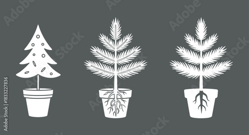 ctor Silhouette Set of Potted Pine Trees and Root Systems, Christmas, Botany, and Plant Icons
