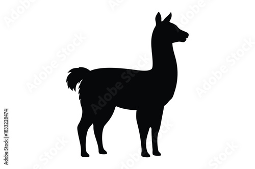 Alpaca silhouette vector, Llama silhouette