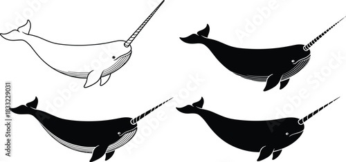 Narwhal silhouette and outline set, arctic whale illustration, underwater marine animal collection, ocean wildlife graphic design for decoration and education