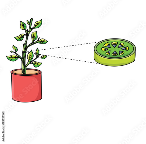 Science of hand drawn vector plant stem cell clipart.