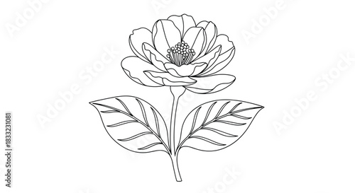 Beautifully detailed flower with a stem and leaves illustrated in a clean black and white line art coloring book style.
