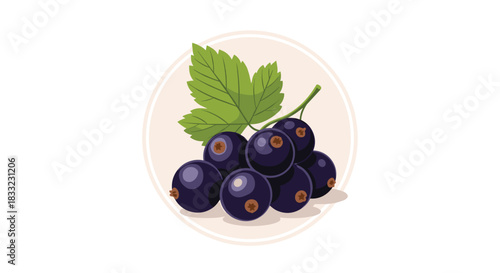 Detailed vector illustration of a bunch of ripe blackcurrants with a green leaf set against a circular background.