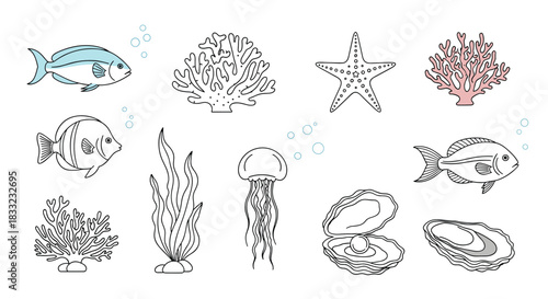 Collection of hand-drawn sea life doodles including fish coral starfish jellyfish and oysters in a simple line art style.