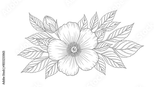 A delicate black and white sketch of a single blooming flower with a bud and surrounding leaves.