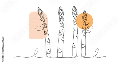 Minimalist continuous one line drawing of a bunch of fresh asparagus spears with abstract pastel-colored shapes in the background.
