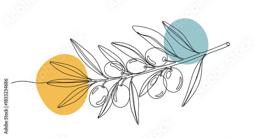 Elegant olive branch with fruit drawn in a continuous one-line art style with abstract yellow and blue color shapes.